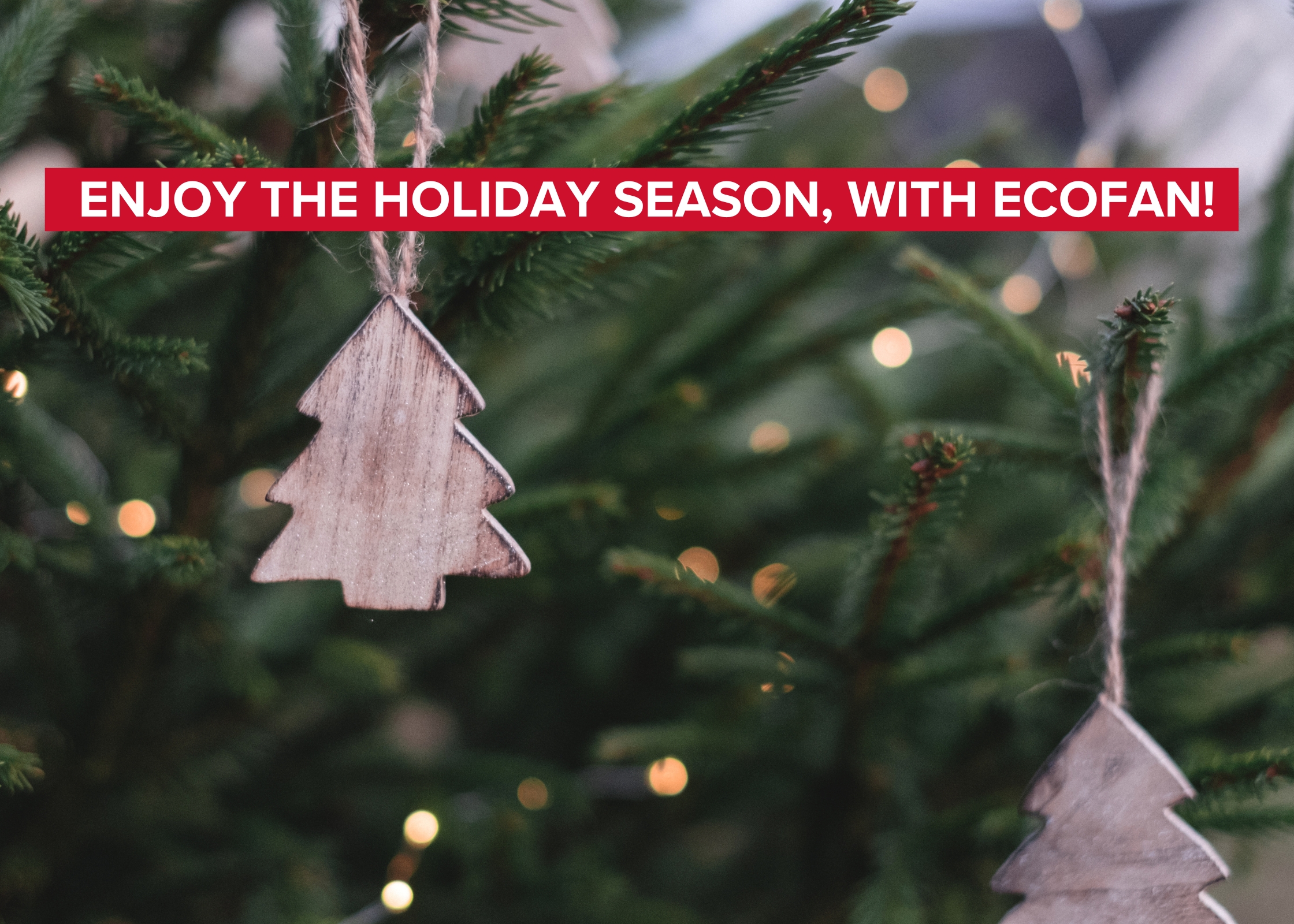 Enjoy The Holiday Season, with Ecofan!