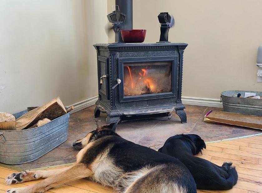 Marko's dogs in front of stove with Ecofan